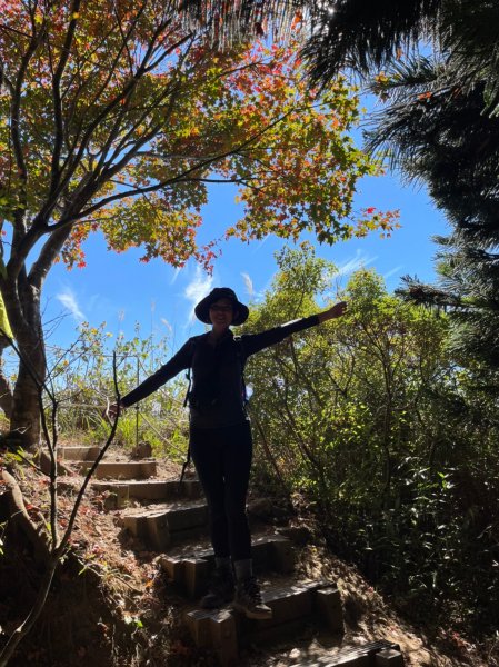 馬那邦山賞楓趣1549590