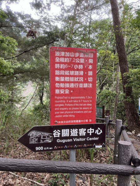 台中 和平 波津加山2761883