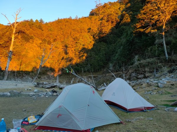 小關山林道上斯拉巴庫山1285120