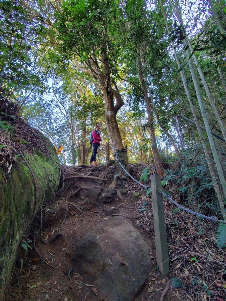 【苗粟 | 馬拉邦山】1227232