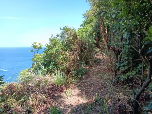 瑞芳區黃金8.5稜+南雅山O型2866461