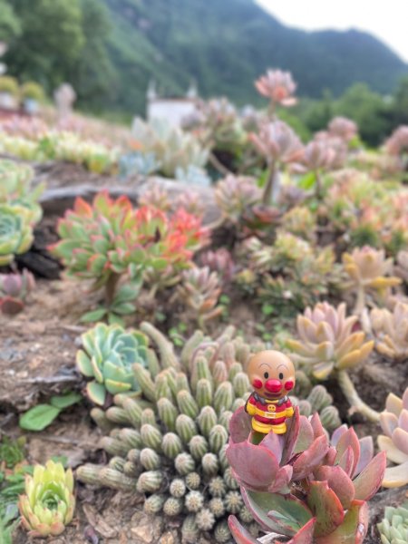 川藏深度之旅33天/A行程2901252