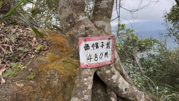 上上又下下的筆架連峰|西帽子岩|炙子頭山|峯花雪月2691183