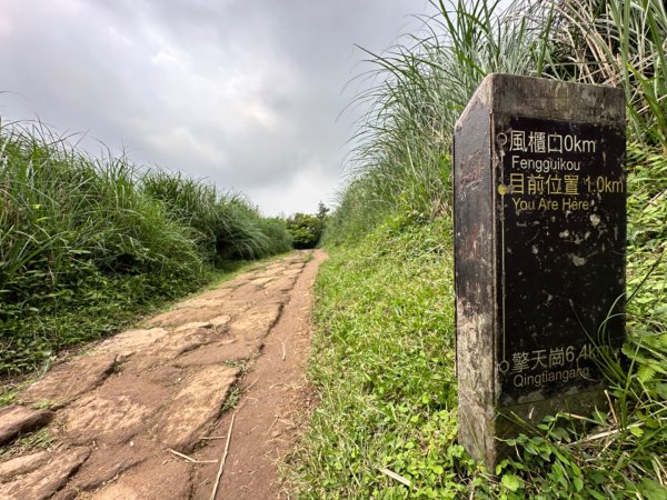 臺北大縱走第三段 小油坑》風櫃嘴2478305