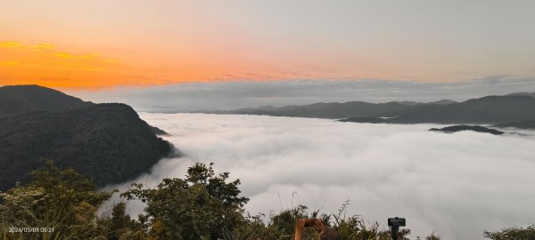 #翡翠水庫壩頂 #月亮 #日出 #雲海 #藍腹鷴母鳥 5/8&133050283