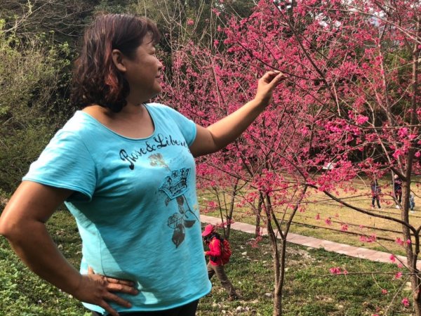 八仙山國家森林遊樂區527117