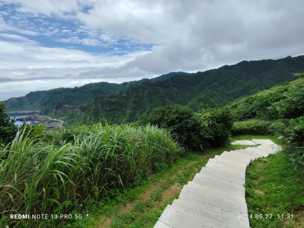 南子吝登山步道【踢不爛大地遊戲】2513443