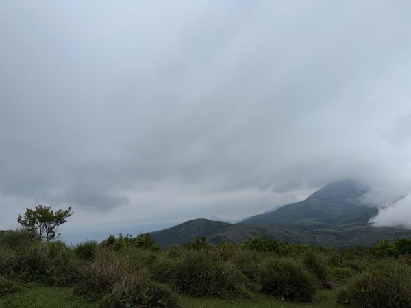 115.04.05台北大縱走33031361