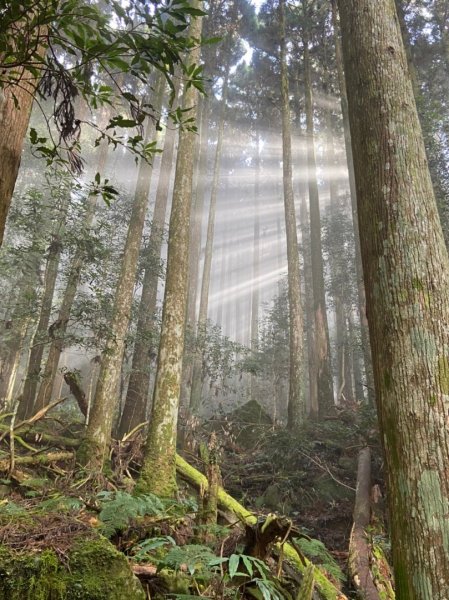 南庄加里山林業遺跡忘雨巖2026045