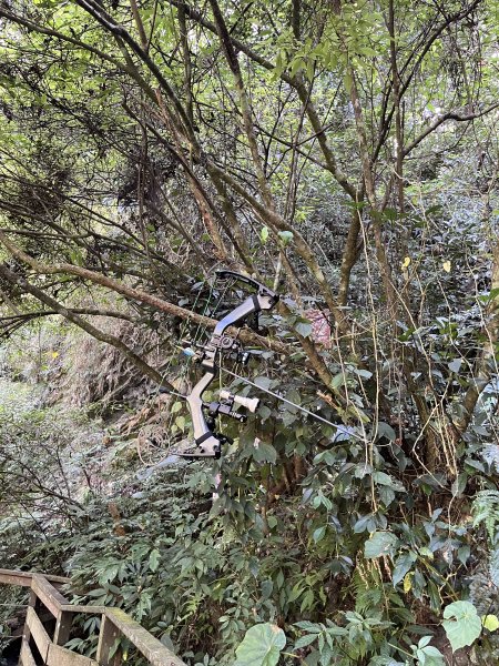 蝶夢八唐搜尋失蹤者 2025.11.252954287