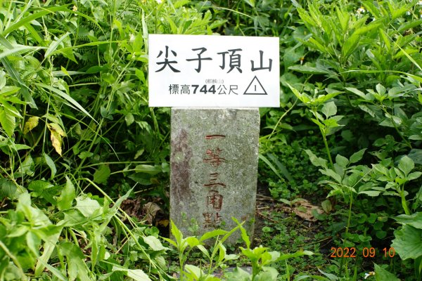 南投 鹿谷 尖子頂山(麒麟山)