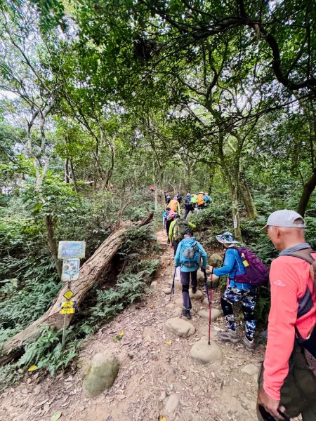 福人登山步道走大北坑小楊梅 O繞3129987