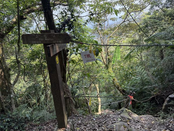 [微笑山線_第八段] 2026_0411 二格山系_筆架山北峰3035134