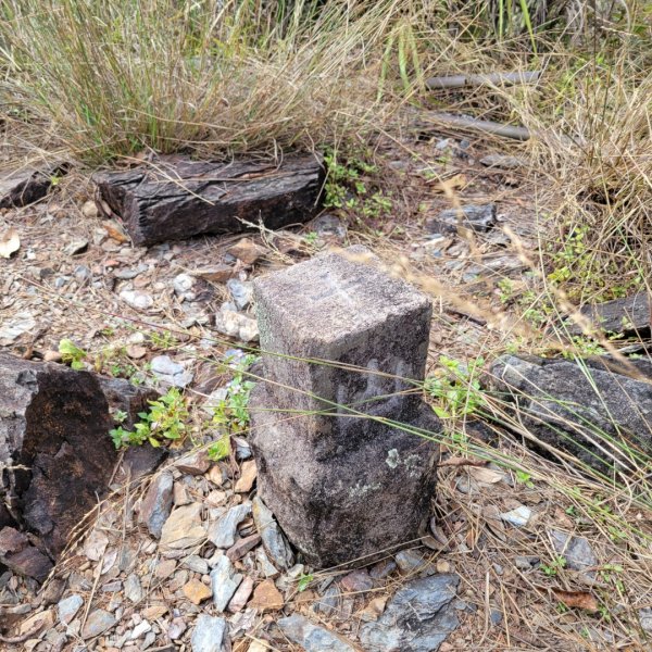 惠蓀林場松風山步道1520488