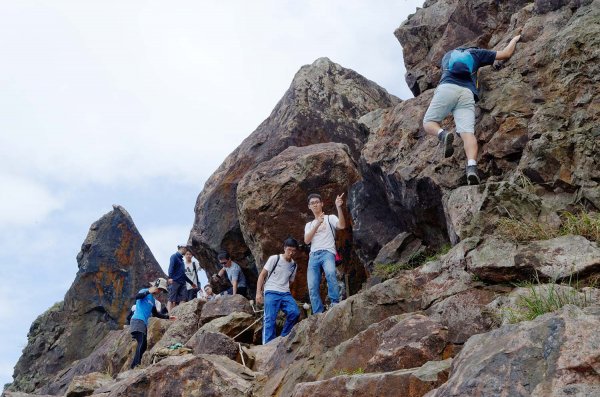無耳茶壺山。黃金三稜539662