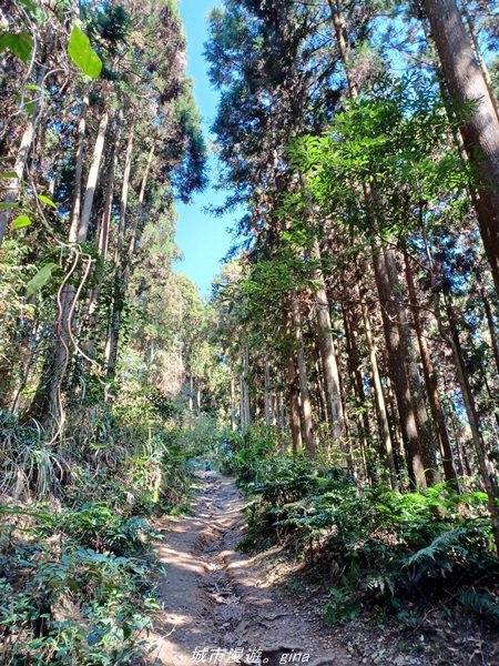 【新竹。五峰】  悠遊山林。 小百岳集起來。 編號31小百岳~鵝公髻山步道x山上人家1652460