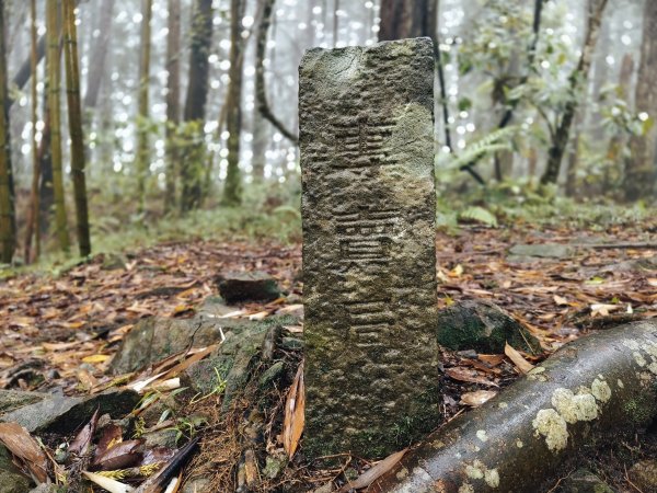 2025/05/11-丸田砲台遺址步道2784563