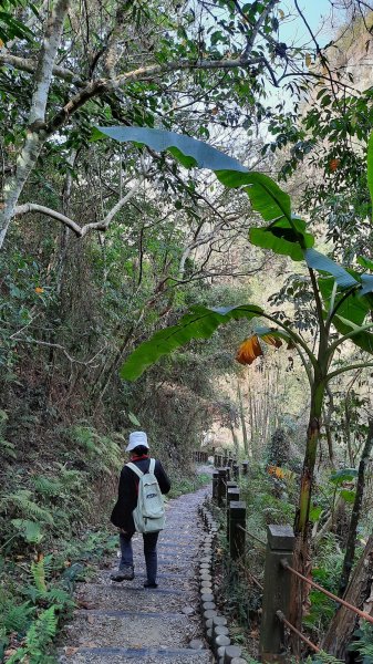 《台中》太平蝙蝠洞登山步道O巡202102271287452