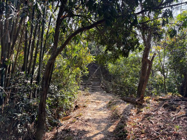 南觀音山步道2731306