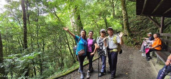 拉拉山巨木步道-塔曼山步道_202407022569684