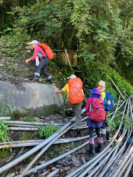 【佐米縱走】走進迷霧森林尋找千歲神木，參加一場巨木群的盛宴2888755