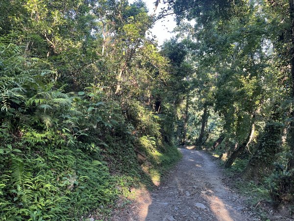 [玉山尋寶任務-03/12] 2025_0810 瓦拉米步道2857361
