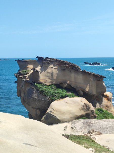 國聖涼亭-百合草原-野柳-駱駝峰-萬里橋頭3057444