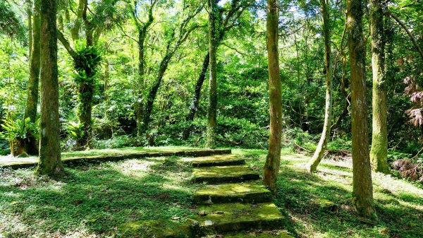 南勢坑小尖,大尖2816035