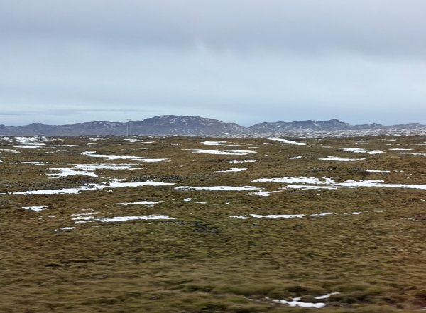 [紐約馬之行-50] 2025_1109~11 回到冰島/美國2952679