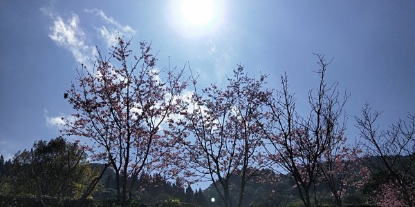 202102 熊空茶園 & 熊空山初體驗1271122