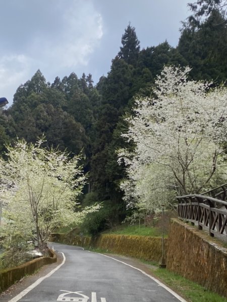 大塔山3062636