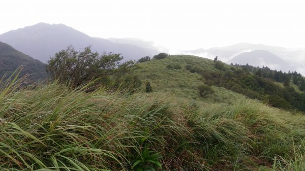 大屯山西峰後, 緊接著大屯山南峰174719