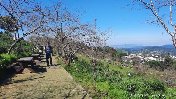 《南投》清新小旅｜鳳凰自然教育園區步道及小半天202311052337006