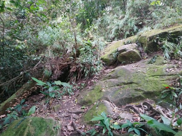 暗影山 小百岳 三等三角點4181690865