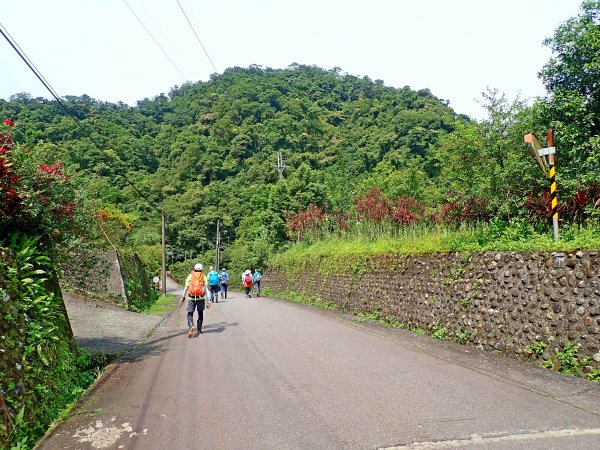 中坑古道、淡蘭古道、崩山坑古道O型走  593005