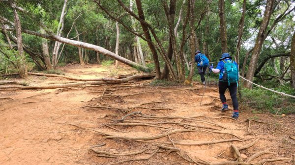 小百岳苗栗火炎山(602m)北鞍線大O走1858441