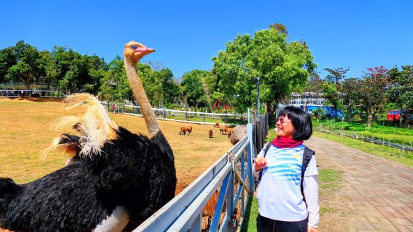 台東原生應用植物園3015261