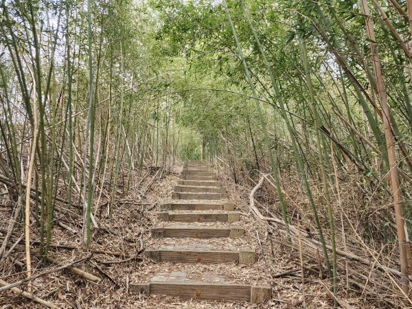 苗栗三灣｜龍峎頂步道2973701