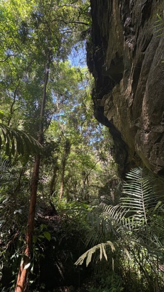 戲水（鴛鴦2786670