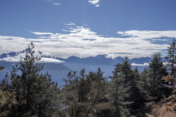 哭坡不哭-雪山東峰 & 七卡山莊之旅1561148