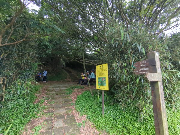 2025.05.17－大屯山步道下清天宮2790021