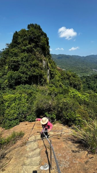 孝子山、普陀山、慈母峰賞鹿子野百合O走2592962
