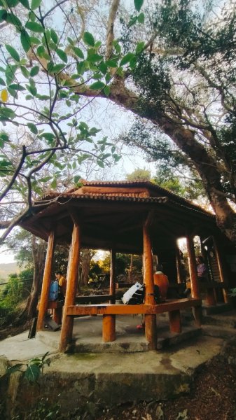 柴山夜爬看夕陽2993424