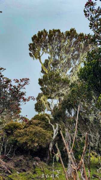 4000公尺的感動，東南亞最高峰神山2898028