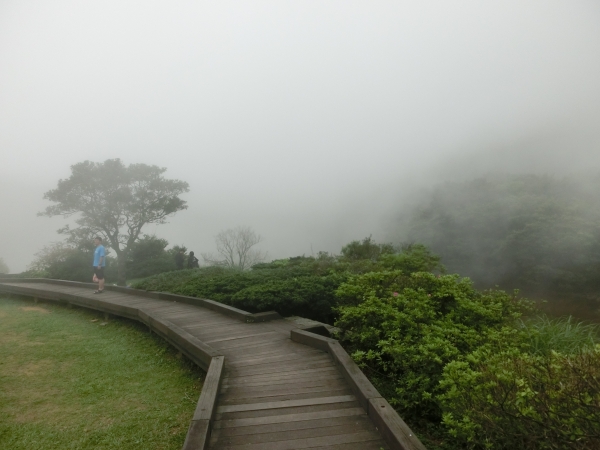 菜公坑山．大屯自然公園93915