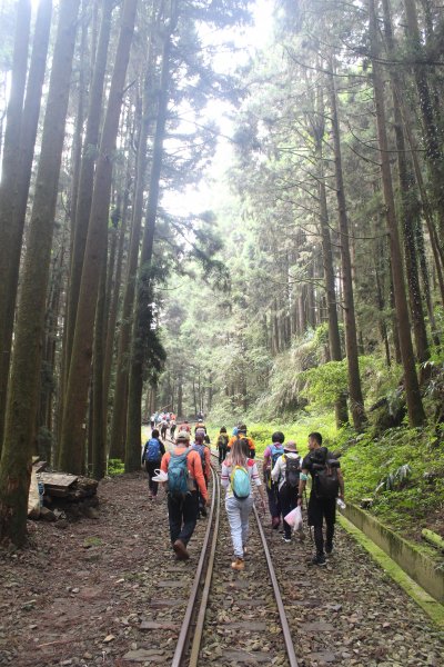 20230603嘉義二萬坪山及神木群2174514