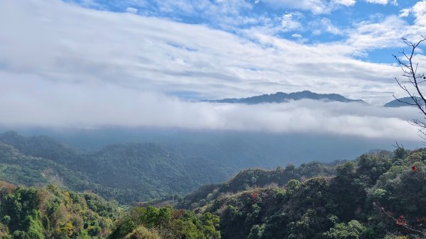 石苓湖山（頭嵙南峰）/黑山/黑山北峰/頭嵙山1585849