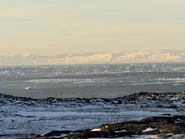 [紐約馬之行-34] 2025_1106 山頂微波站2948020