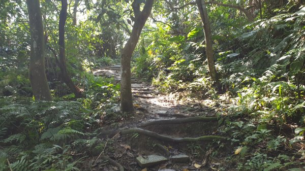 烘爐地文筆山造鎮1067394