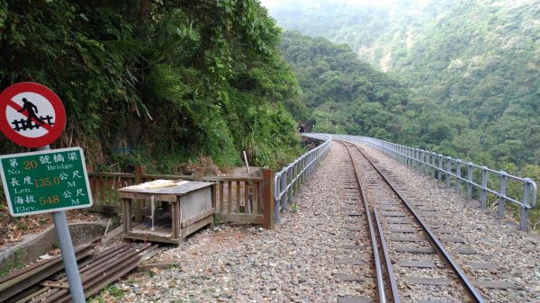 望風斷崖+雲之南道+大巃頂+獨立山縱走202965